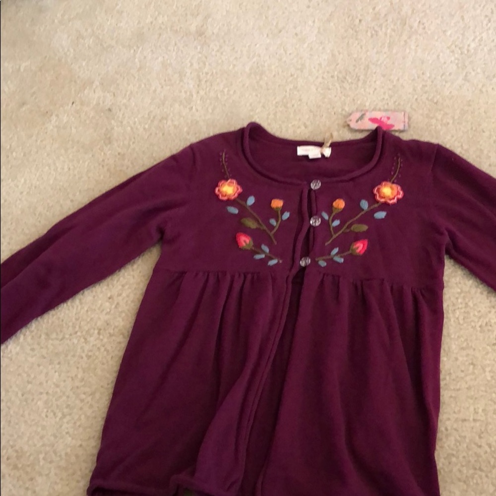 Purple Embroidered sweater